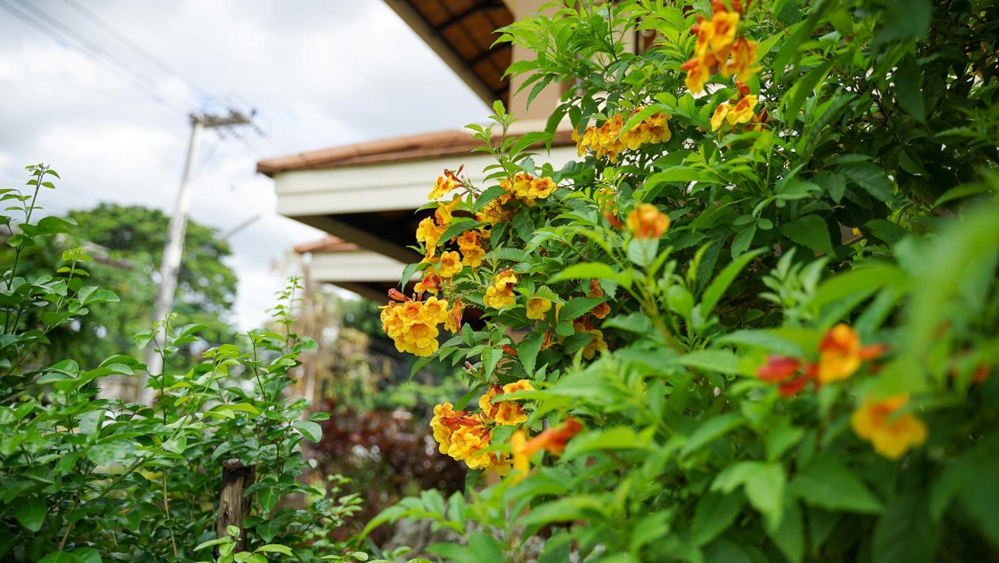 Laph Kham House Apart otel Chiang Mai Dış mekan fotoğraf