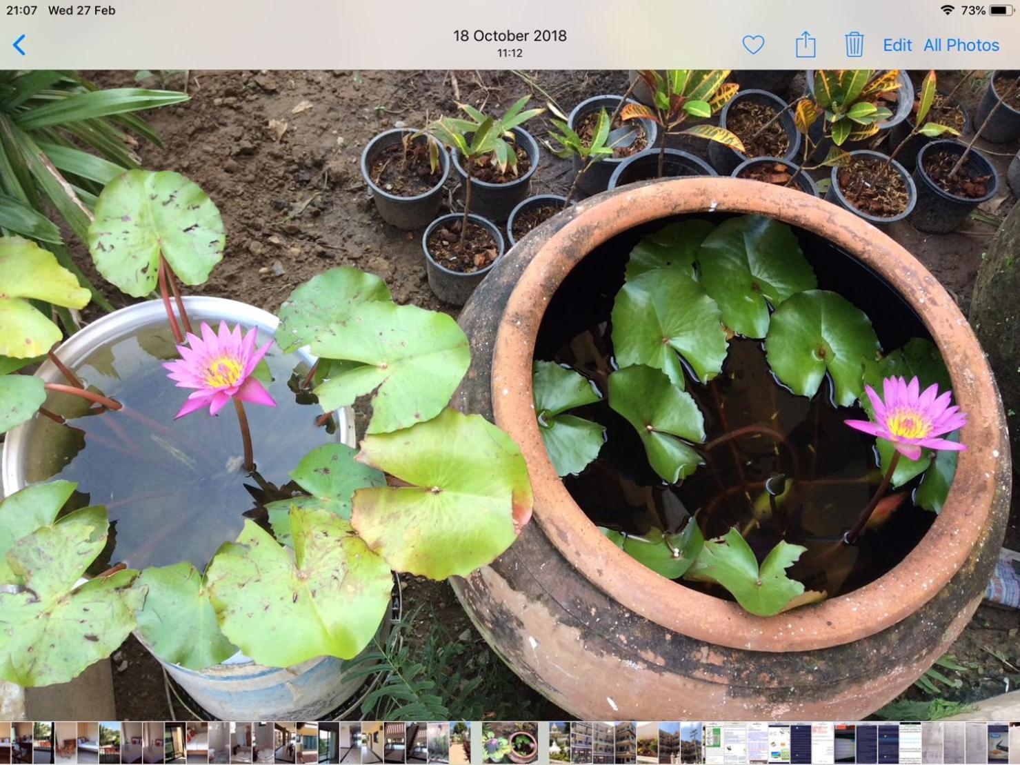 Laph Kham House Apart otel Chiang Mai Dış mekan fotoğraf
